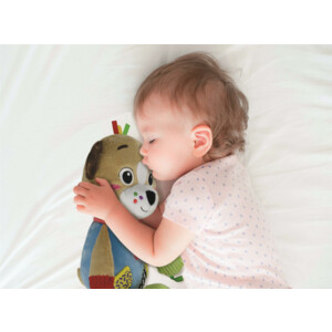 Clementoni Knuffel in Doos Dog - 10.99 euro