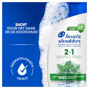Head & Shoulders 2in1 Menthol Fresh - 7.69 euro