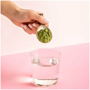 Nutribites Green Juice Poeder - 47 euro