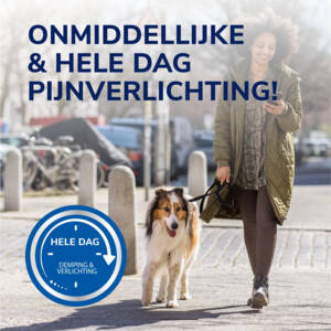 Dr. Scholl's Blarenpleister Mixed - 4.49 euro
