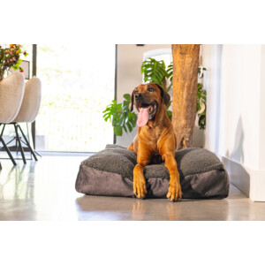 Designed by Lotte Ligkussen Yndis Antraciet 100 x 70 x 15 cm - 108.99 euro