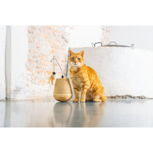 Designed by Lotte Hout Katten Speel Tuimel  Mae 15 x 15 x 18 cm 