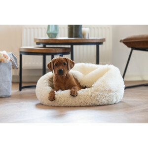 Beeztees Puppy Ligbed Kiki   Creme 50 x 50 x 15 cm 