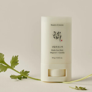 Beauty of Joseon Sun stick Mugwort + Camilia SPF50+ - 14.65 euro