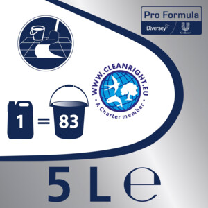 2x Andy Professional Allesreiniger Citroen Fris Pro Formula - 16.7 euro