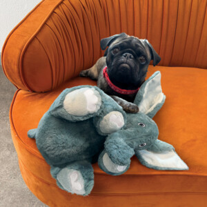 Kong Comfort Kiddos Jumbo Olifant XL 