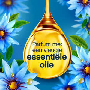 Lenor Wasverzachter Zeebries 216 Wasbeurten - 19.65 euro