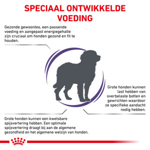 Royal Canin Hondenvoer Droog Adult Large 4 kg