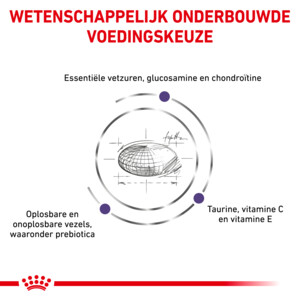 Royal Canin Hondenvoer Droog Adult Large 4 kg