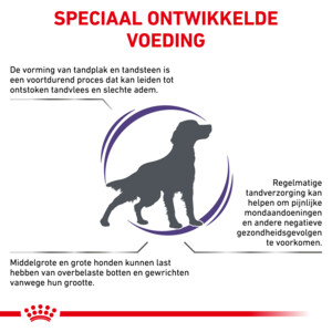 Royal Canin Hondenvoer Droog Dental Medium & Large Dogs 6 kg