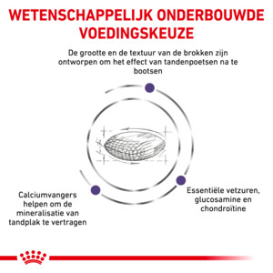 Royal Canin Hondenvoer Droog Dental Medium & Large Dogs 6 kg