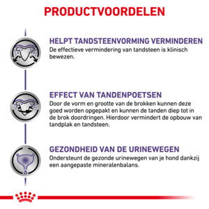 Royal Canin Dental Small Dogs Hondenvoer 3,5 kg