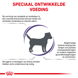 Royal Canin Hondenvoer Droog Dental Small Dogs 1,5 kg