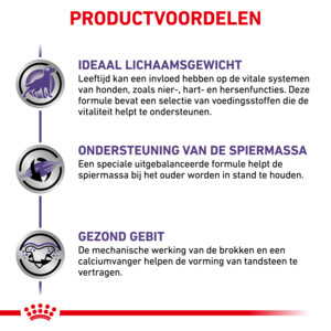Royal Canin Hondenvoer Droog Mature Consult Small 8 kg