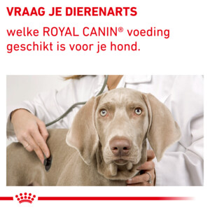 12x Royal Canin Neutered Adult Hondenvoer 100 gr