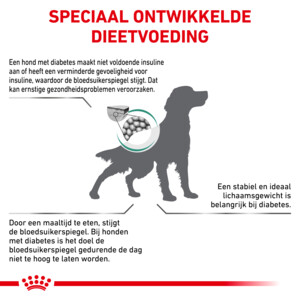 Royal Canin Diabetic Hondenvoer Droog 7 kg