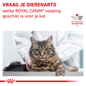 Royal Canin Kattenvoer Droog Early Renal 400 gr