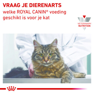 12x Royal Canin Early Renal Kattenvoer Nat 85 gr
