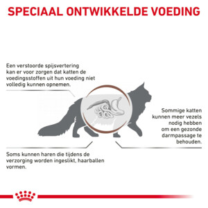 Royal Canin Kattenvoer Droog Gastrointestinal Hairball 2 kg