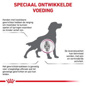 Royal Canin Mobility Support Hondenvoer 12 kg