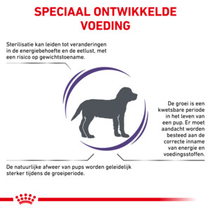 Royal Canin Hondenvoer Droog Neutered Junior 10 kg
