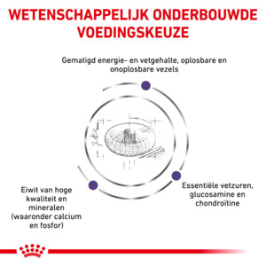 Royal Canin Hondenvoer Droog Neutered Junior Large 12 kg