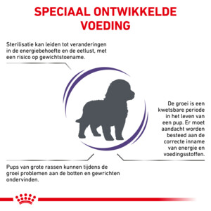 Royal Canin Hondenvoer Droog Neutered Junior Large 12 kg