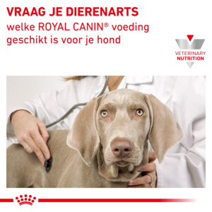 12x Royal Canin Hondenvoer Nat Renal 410 gr