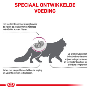 Royal Canin Kattenvoer Droog Renal 4 kg
