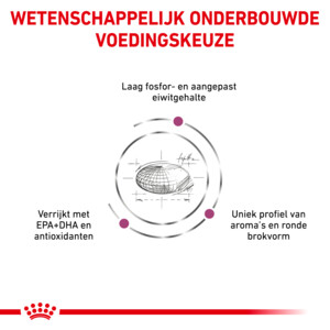 Royal Canin Hondenvoer Droog Renal Special 2 kg
