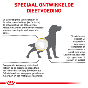 Royal Canin Urinary S/O Moderate Calorie Hondenvoer Droog 12 kg