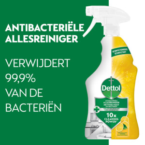 Dettol Antibacteriële Allesreiniger  Spray Sprankelende Citroen - 5.35 euro
