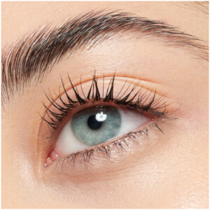 Catrice Lash Brow Designer Shaping And Conditioning Mascara Gel 010 - 2.79 euro