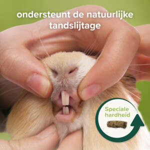 Beaphar Care+ Nature  Cavia 1,5 kg