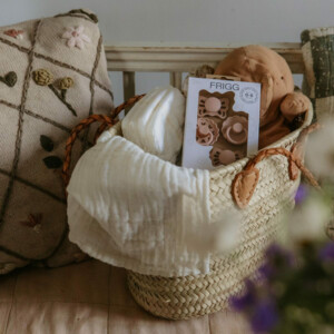 Frigg Speenset Blush - 11.15 euro