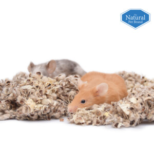 The Natural Pet Brand Cotton N Cotton 40 liter