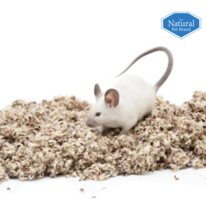 The Natural Pet Brand Cotton N Cotton - 39.69 euro