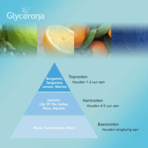 3x Glycerona Hygiënische Handgel Aloë Vera - 6.18 euro