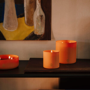 SPAAS Glow Geurkaars 2-wiek Kokosmelk en Vijgenblad ± 55 branduren - 12.45 euro