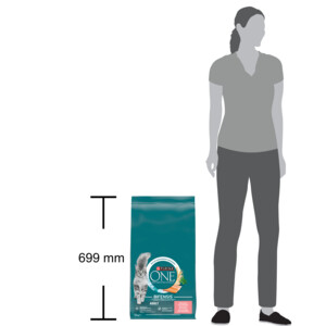 Purina ONE Kattenvoer Droog Adult Zalm - 44.95 euro