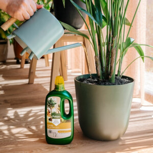 12x Pokon Plantenvoeding Kamerplanten - 66.99 euro