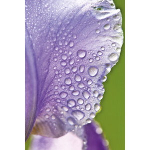 WELEDA Fluide Light Iris - 11.99 euro