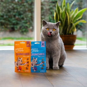 Edgard & Cooper Adult Crunchies Kattensnack Zalm 50 gr
