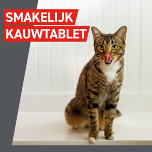 Frontcontrol Wormer Ontworming Tabletten Kat 2 tabletten