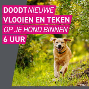 2x Frontline Tri-Act Anti Vlooien en Teken Druppels S - 46.06 euro