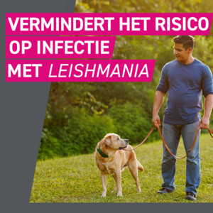 2x Frontline Tri-Act Anti Vlooien en Teken Druppels S - 46.06 euro