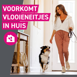 2x Frontline Tri-Act Anti Vlooien en Teken Druppels XL - 61.44 euro