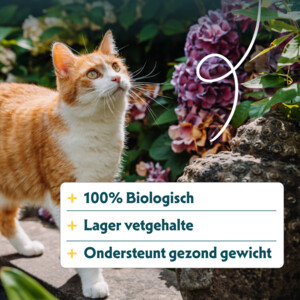 Yarrah Bio Grainfree Kattenvoer Sterilised 6 kg