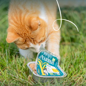 16x Yarrah Bio Alu Paté Grainfree Kattenvoer Nat Kip 100 gr