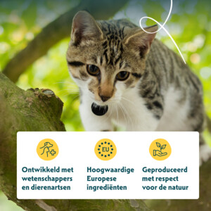 16x Yarrah Bio Alu Paté Grainfree Kattenvoer Nat Kip & Eend 100 gr